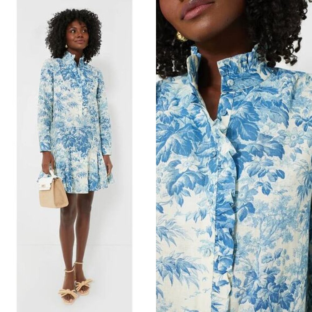 Tuckernuck Dress Misty Blue Toile Long Sleeve Drop Waist Tate Mini Dress Size S - Picture 4 of 12